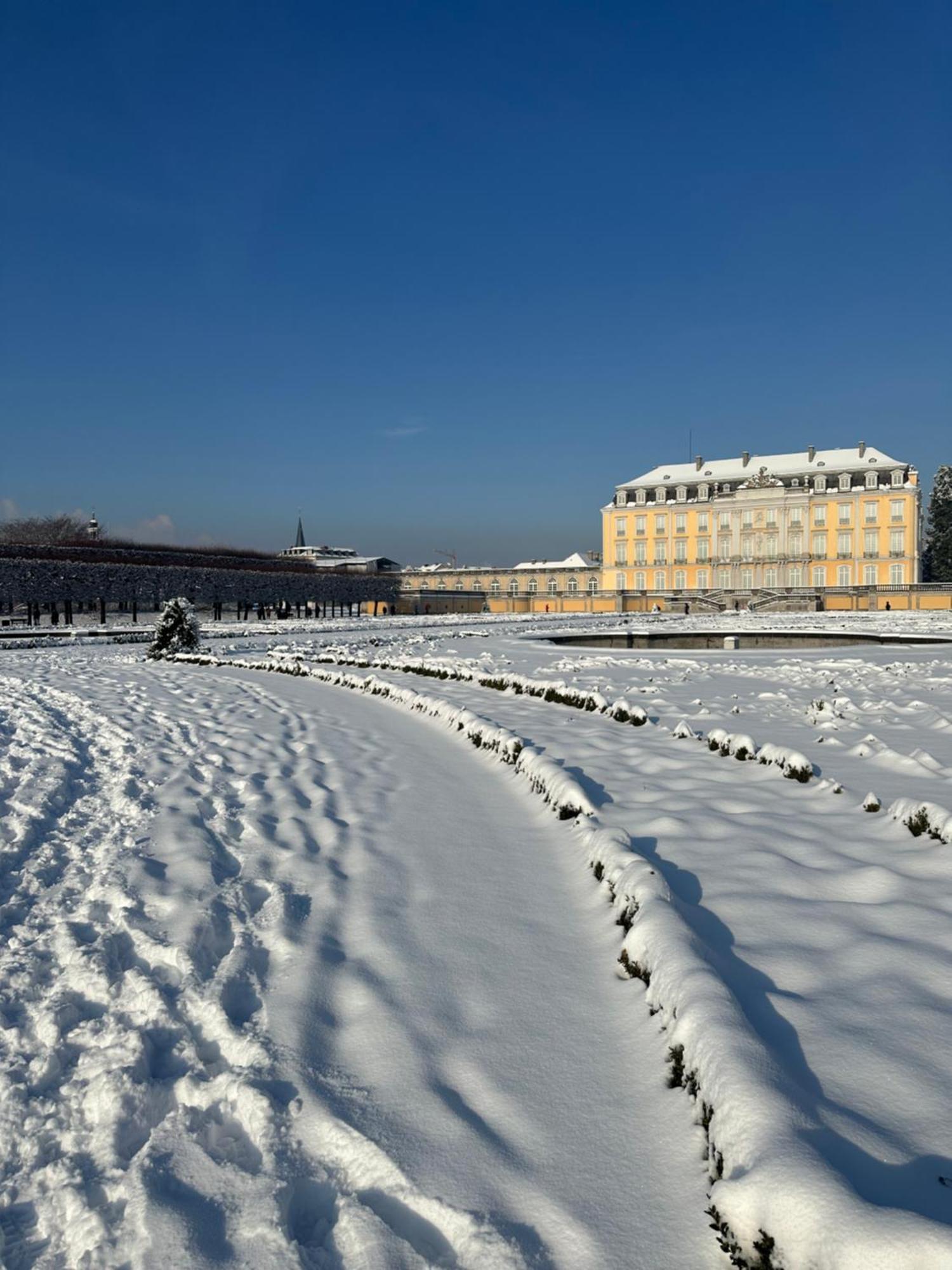 Stadtwohnung Bruehl Exteriör bild